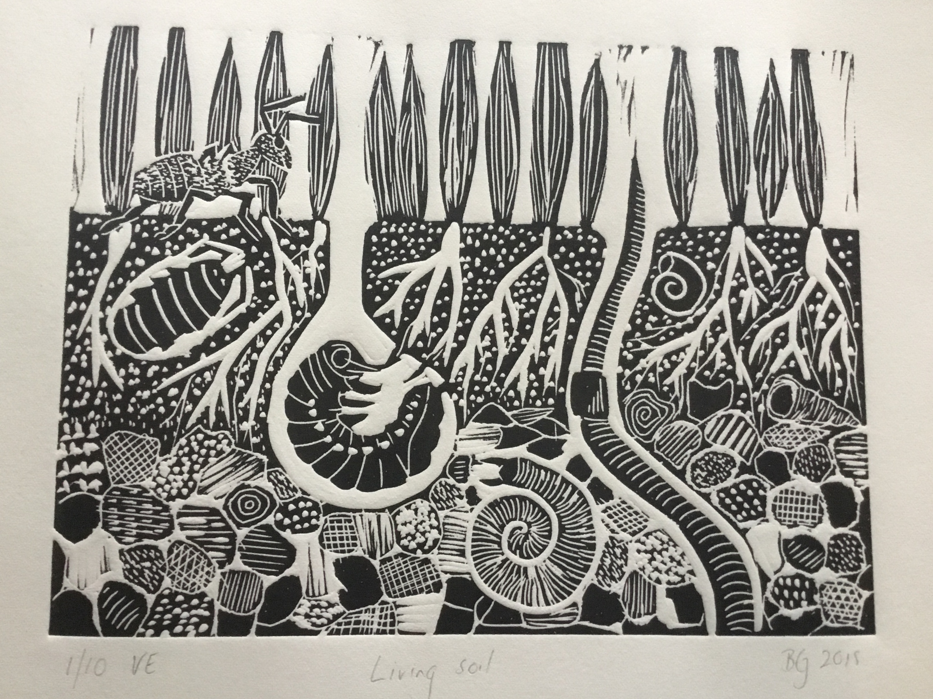 D561910D-812A-4180-8104-CE66E2FA36D8