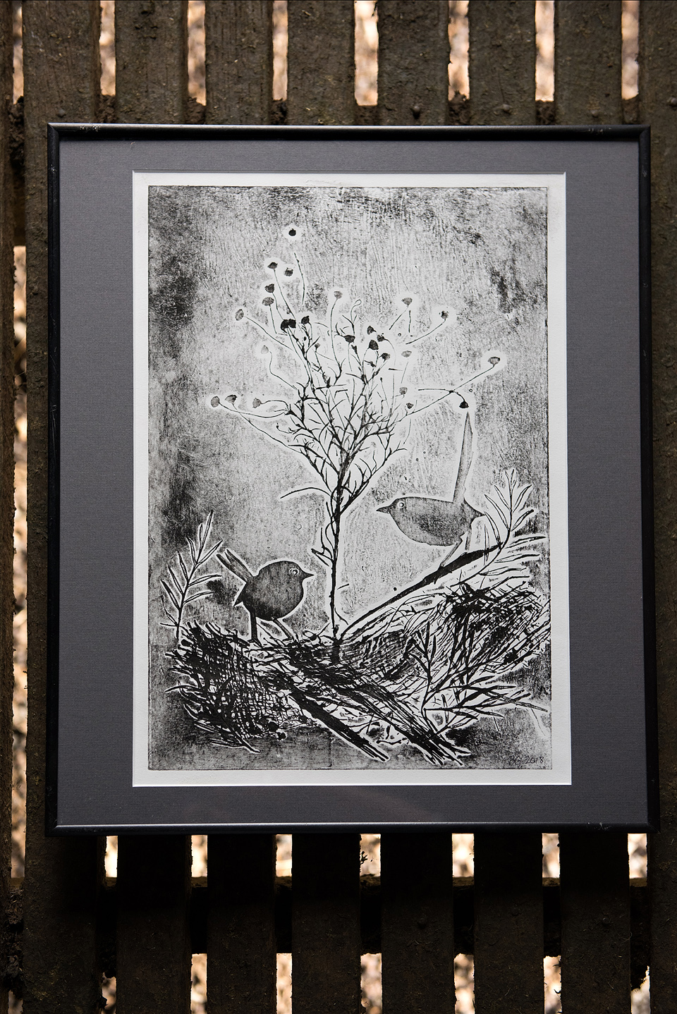 Herbarium series – Britt Gow