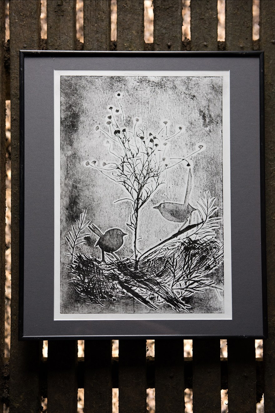 Blue Wrens and Wiry Buttons