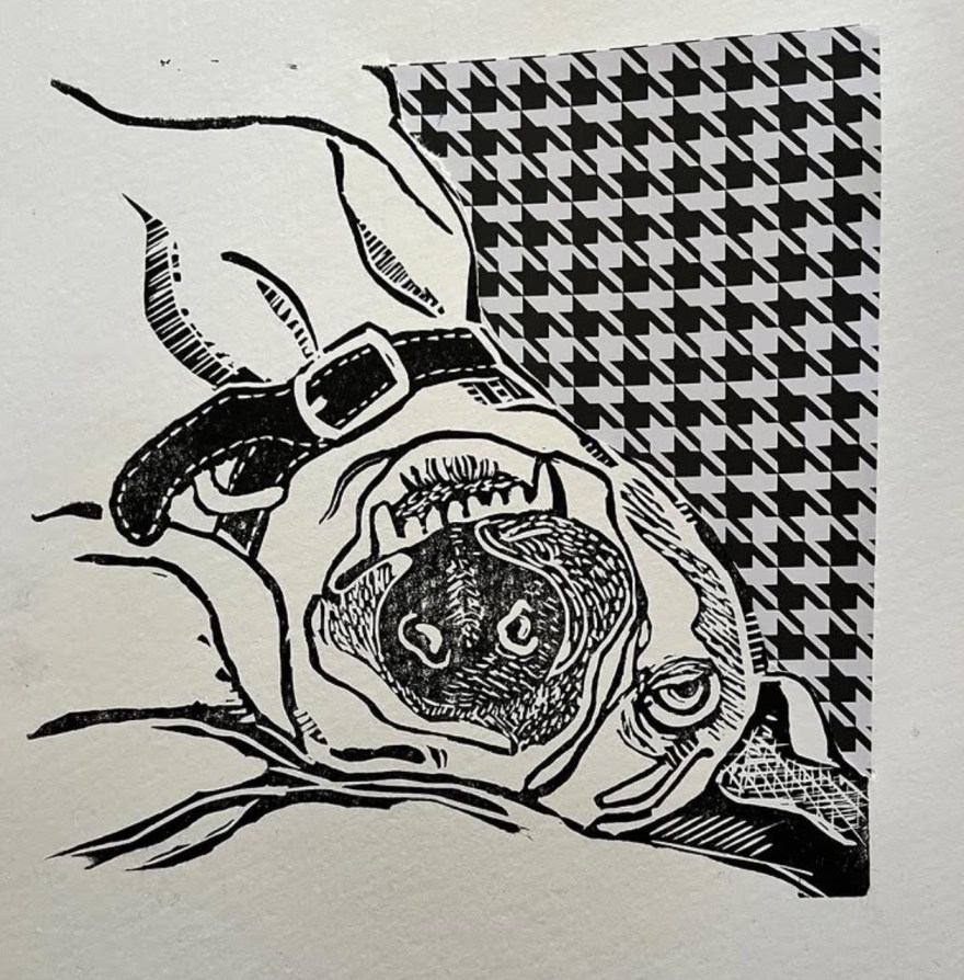 Fat cat and dodgy dog